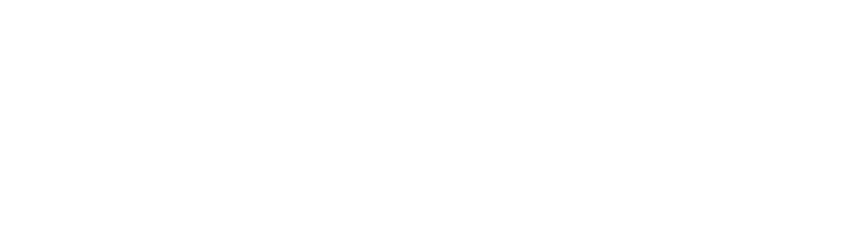 Mills Government Fleet
